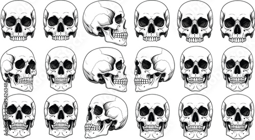 Human Skull Anatomy Collection with Front and Side Views Detailed Black and White Skeleton Vector Illustration Set