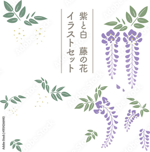 藤の花シンプルベクターセット｜紫と白の和風フラットイラスト素材