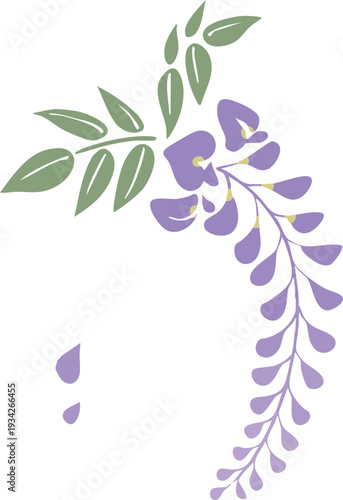 シンプルな藤の花のフラットベクターイラスト｜春・初夏の和風植物素材