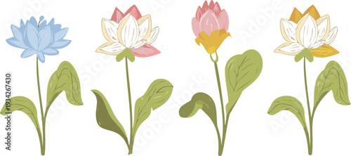 Set 7 of hand drawn folk art lotus water lilies flowers and spring English garden blossoms series set, soft pastel botanical colours in transparent white background vector