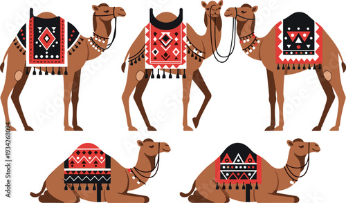 Camel Set with Traditional Decorative Saddle Blankets in Standing and Sitting Poses Isolated Desert Animal Vector Illustration Collection