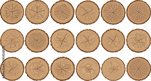 Tree Trunk Rings Set with Detailed Wood Log Cross Section Textures Isolated on White Background Vector Illustration Collection