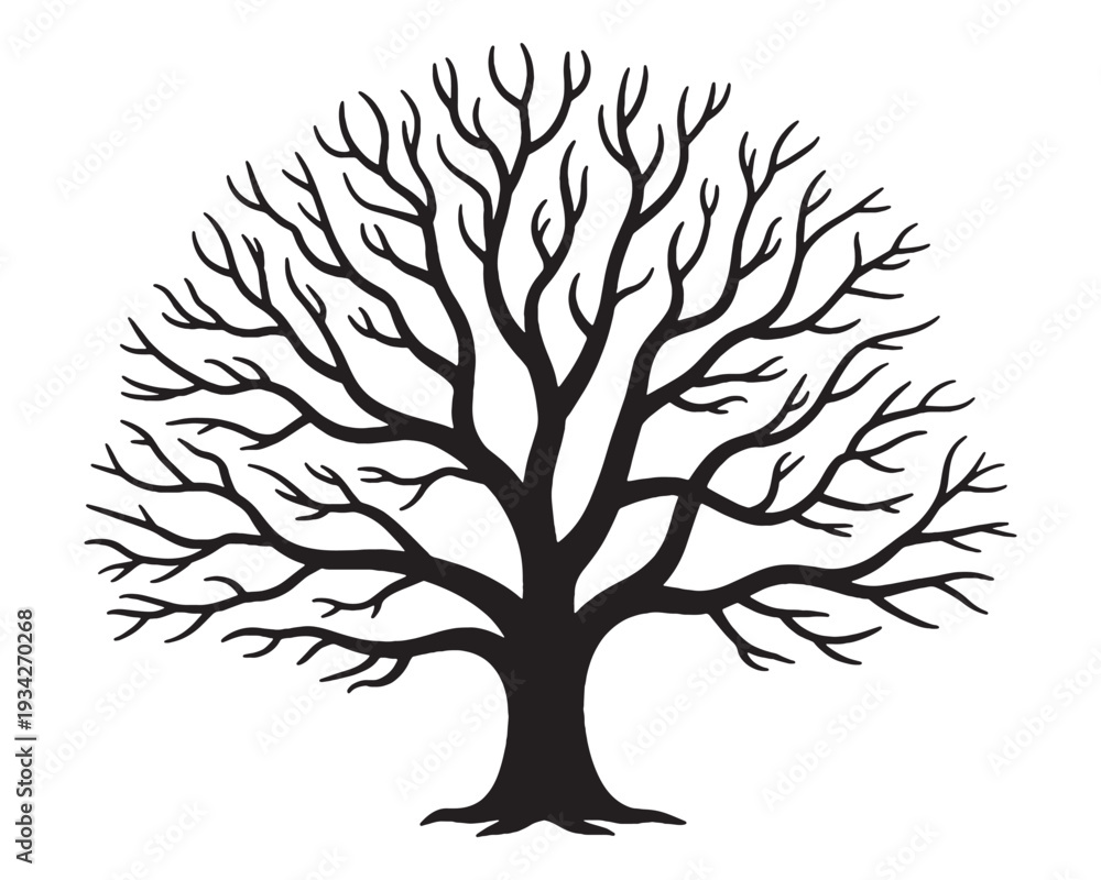 Obraz premium Silhouette of a bare deciduous tree with intricate branches isolated on transparent background