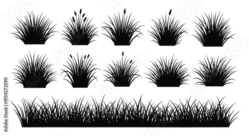 Black Silhouette Clumps and Border of Grass and Cattails