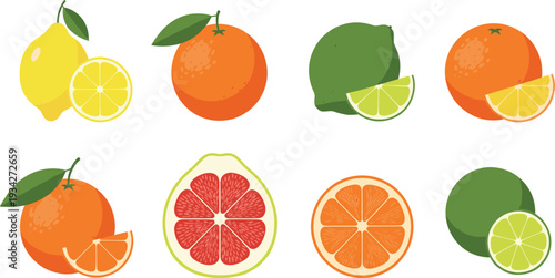 Citrus Fruit Set with Lemon, Orange, Lime and Grapefruit Whole and Slices Isolated on White Background Fresh Vector Illustration