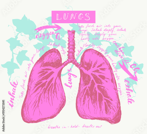 Human lungs decorative vector illustration. Internal organ anatomy health concept. Lifestyle and medical creative drawing poster with cough herbs and lettering.