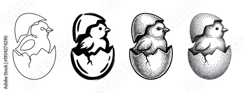 Little chick emerging from a cracked egg in four distinct illustration styles, representing birth and new beginnings.