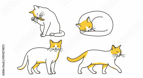 Four simple line art illustrations of white and yellow cats in various poses: grooming, sleeping, standing, and walking.