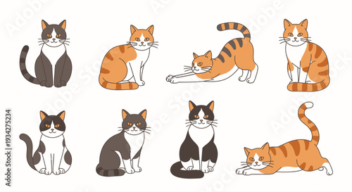A collection of eight cute cartoon cats in different poses and fur patterns, including sitting, stretching, and lying down, on a white background.