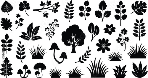 Vector art top view leaf and flower silhouette icon set including mushrooms grass and tree cluster flat nature illustration minimal black shapes mockup png svg collection
