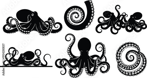 Bold black vector octopus set showing multiple curling tentacles close up spiral arm detail flat design icons isolated on white background with stylized silhouette strong contrast