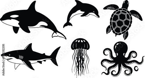 Minimalist black vector sea life icons showing orca dolphin great white shark sea turtle jellyfish and octopus arranged on white background flat design composition silhouette set