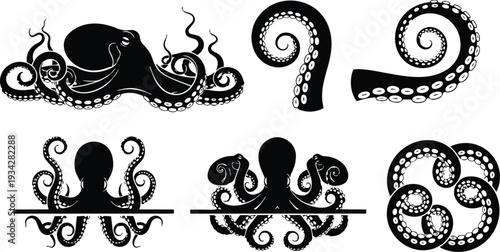 Monochrome vector art close up octopus with curling tentacles and visible suction cups in horizontal composition looking forward flat design silhouette branding elements black white mockup