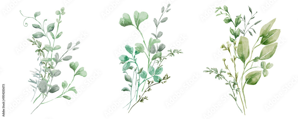 Fototapeta premium Watercolor greenery foliage bouquets set, floral green clip art