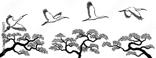 Japanese style illustrations of ibises flying over pine trees isolated on transparent background