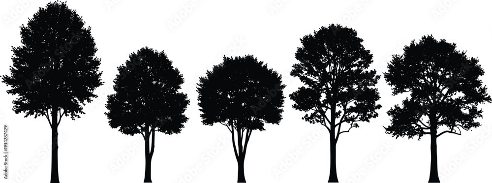 Fototapeta premium Black tree silhouettes set isolated on white background for architectural cad drawing flat vector illustration landscape design projects and urban planning