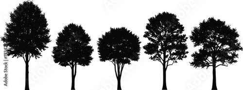 Black tree silhouettes set isolated on white background for architectural cad drawing flat vector illustration landscape design projects and urban planning