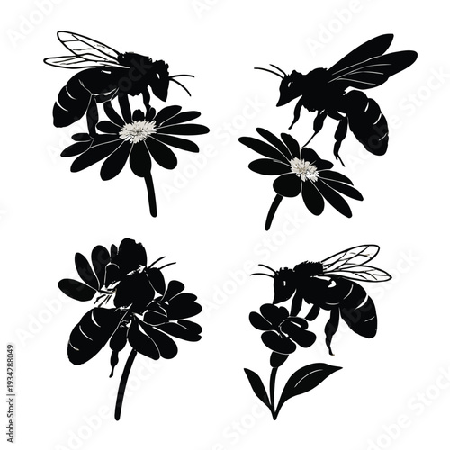 Black silhouettes of bees foraging on various flowers a botanical illustration style high quality professional