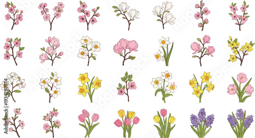 Vibrant floral illustrations of various spring flowers