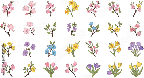 Vibrant spring flowers in full bloom with colorful petals and leaves