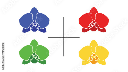 Four colorful orchid flowers arranged in a cross pattern on a white background.