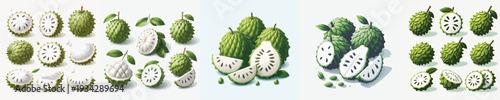 Soursop Fruit Vector Illustration Collection