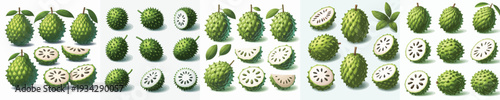 Soursop Fruit Vector Illustration Collection