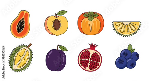 Assorted colorful fruits illustration