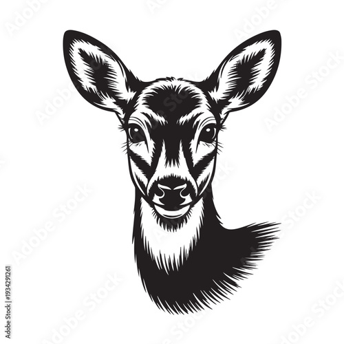 Detailed black and white illustration of a young deer's head, focusing on its gentle expression and intricate fur texture in a realistic vintage engraving style