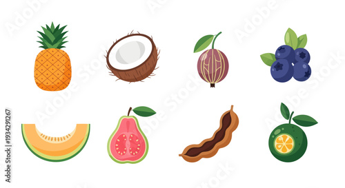 Assorted tropical fruit collection illustration