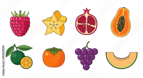 Assorted tropical fruit collection illustration