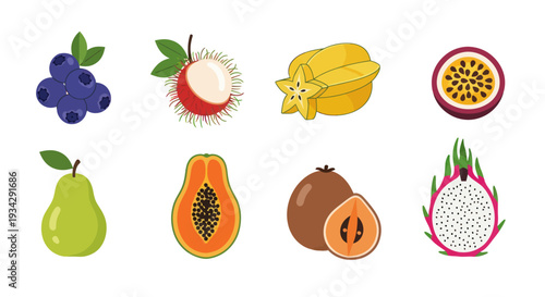 Assortment of colorful tropical fruit illustrations