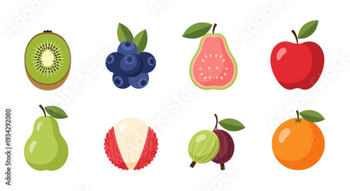 Assortment of fresh fruits vibrant vector illustration