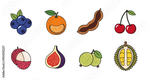 Assortment of freshly harvested fruits