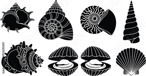 Black silhouette shells vector set showing eight distinct sea shell shapes top view isolated on white background flat graphic icons arranged in two rows high contrast