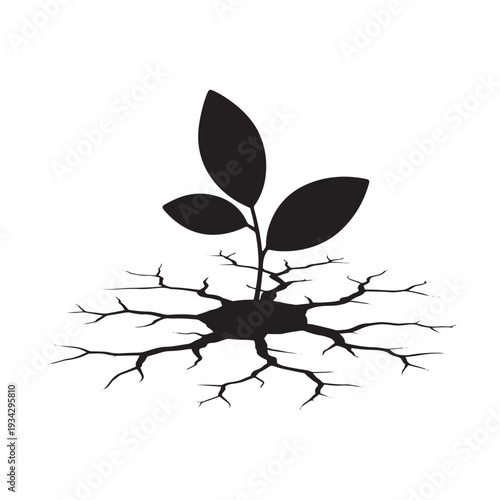 Small plant with three leaves growing out of a cracked and dry ground, symbolizing resilience, growth in adversity, and the emergence of life