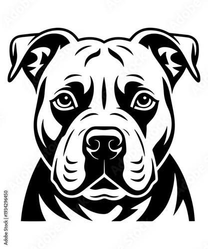 Pitbull Dog Head Portrait Vector Illustration