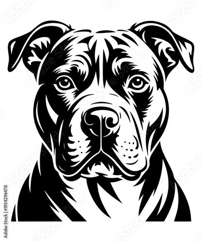 Pitbull Dog Head Vector Portrait