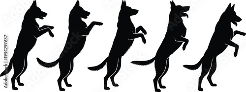 German Shepherd rearing silhouette SVG bundle, standing upright dog breed action poses for Cricut cut file, vinyl decal, laser cut design and printable wall art