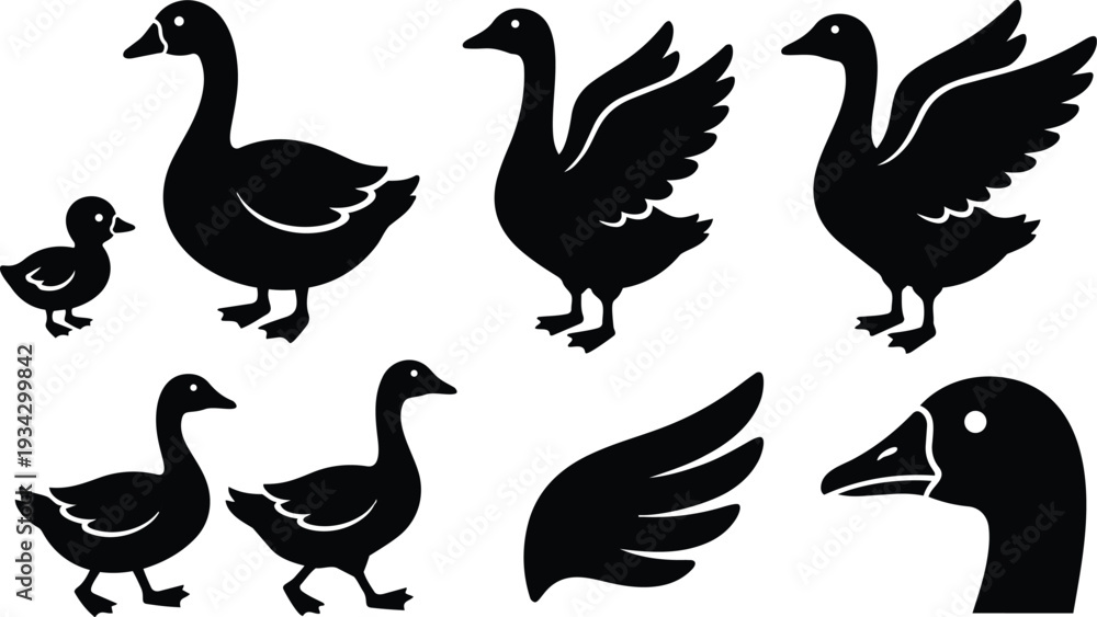 Obraz premium Minimalist vector art goose family set showing adult geese and gosling in various poses wings up walking close up head profile and wing icon silhouette black