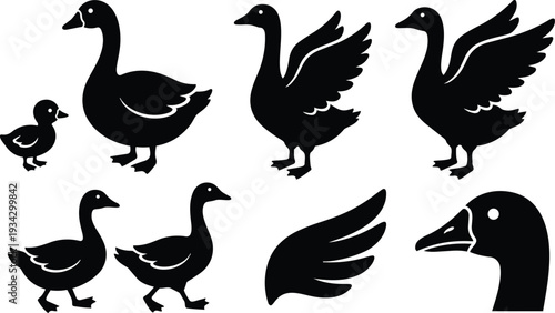 Minimalist vector art goose family set showing adult geese and gosling in various poses wings up walking close up head profile and wing icon silhouette black