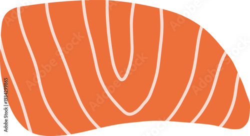 Raw salmon fillet piece illustrating fresh seafood preparation