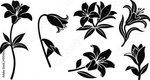 Minimalist black lily vector set showing six floral silhouettes in close up side view top view single stem and blossom isolated on clean flat white background