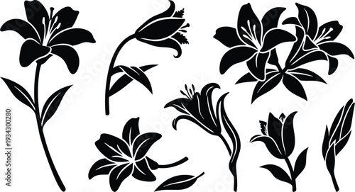 Flat vector close up side view black lily silhouettes showing multiple blooming stems and open petals arranged on white background high contrast minimalist botanical composition elegant