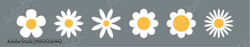 Flower chamomile vector icon. Cartoon camomile white retro spring floral icon design set