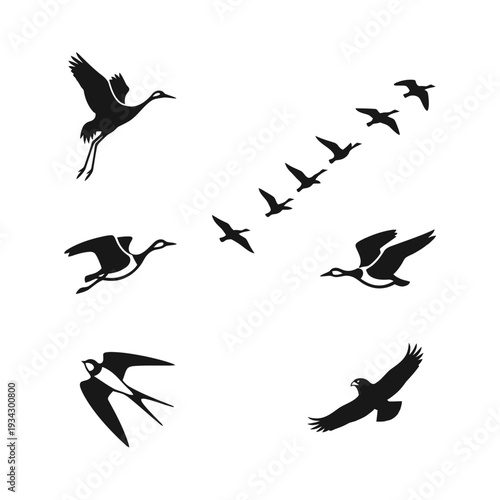 A flock of birds flying in formation