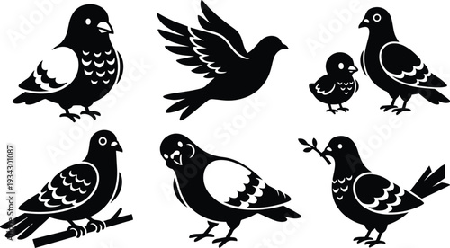 Minimalist vector silhouettes of pigeons in various poses flying perched holding olive branch close up flat design black and white icon set side view front view