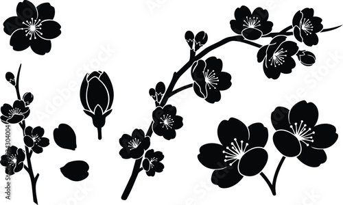 Minimalist vector art close up sakura branch with blossoms and buds side view isolated on white flat silhouette style botanical design for logo pattern and decor