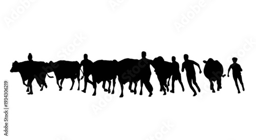 Silhouettes of people walking alongside a lone cow in a line formation