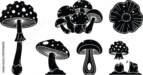 Minimalist black and white vector art mushrooms set close up side view top view cluster sliced stem detailed gill texture isolated on transparent background flat design